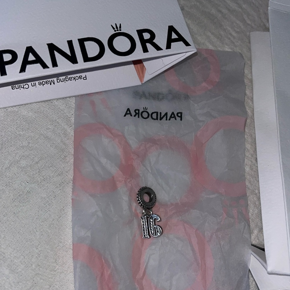 Silver Sparkling Pandora Charm with Gift Set